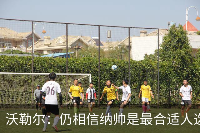 沃勒尔：仍相信纳帅是最合适人选 德国很难接受近3届世界杯表现